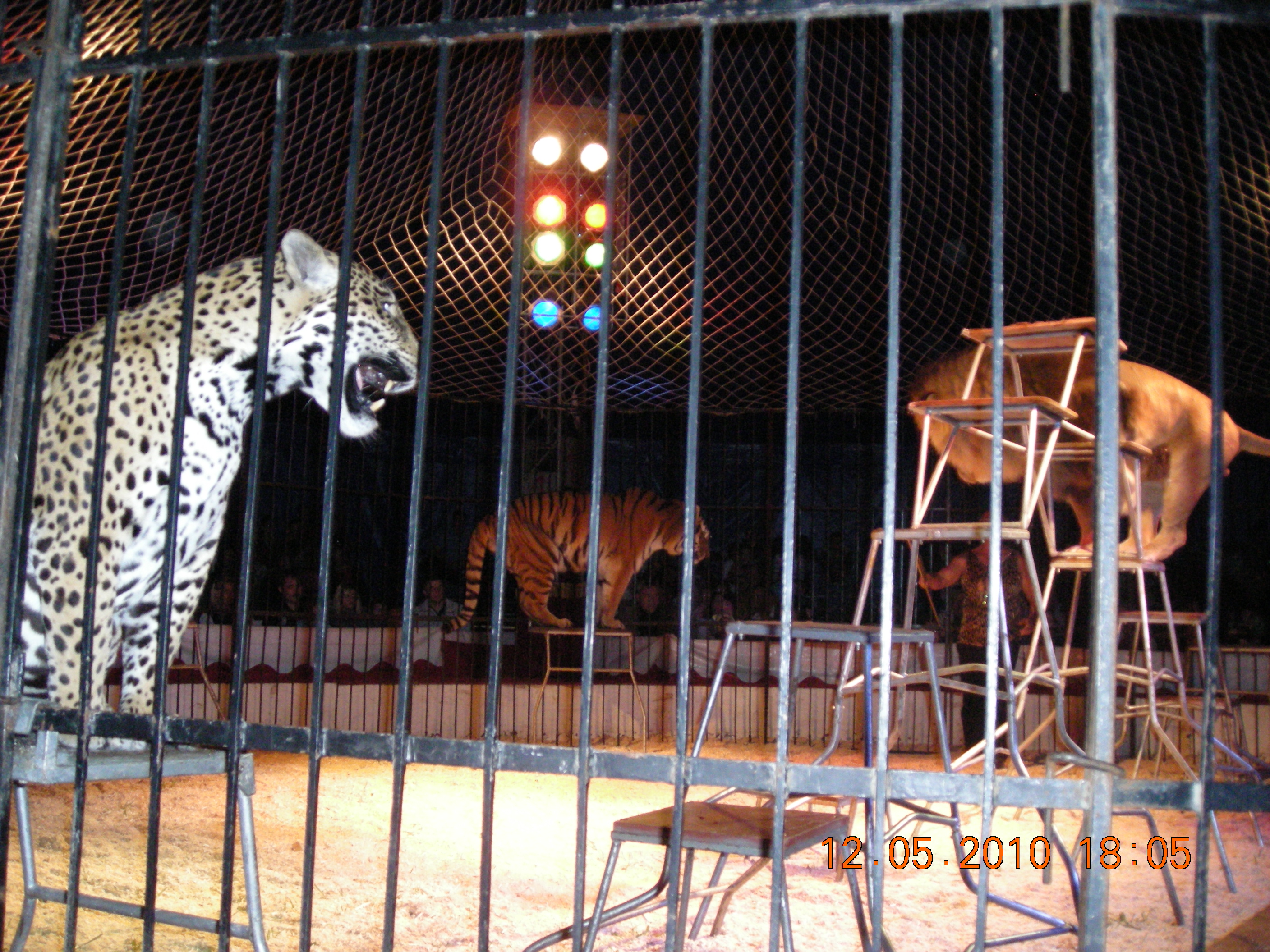 DSCN0548