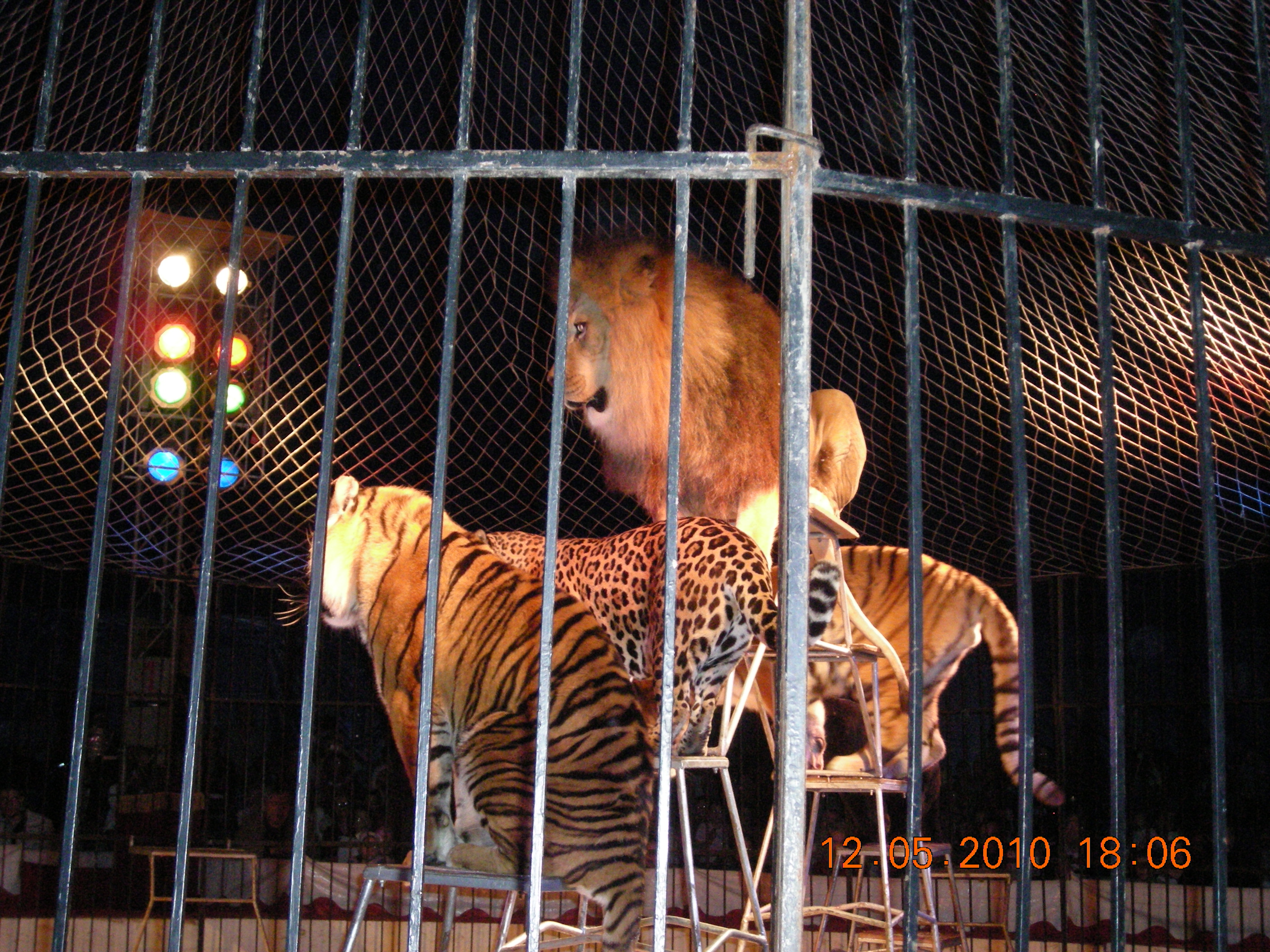 DSCN0551